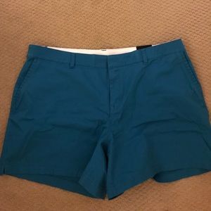 Lane Bryant shorts